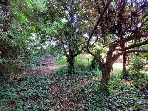 Lote 1.000 metros