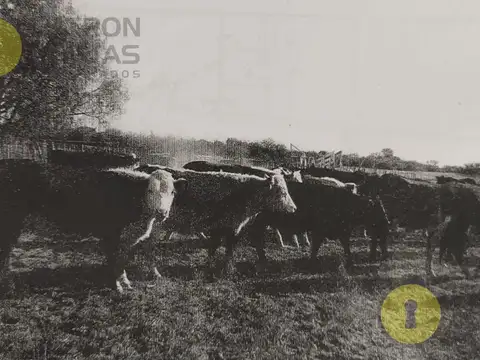 Venta campo San Luis