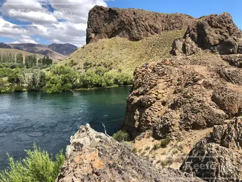 Chacra en venta de 51.55 Has sobre Río Limay  Patagonia Argentina