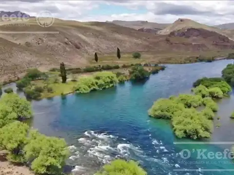 Bariloche  chacras Rio Limay 51,55 Has