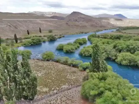 Bariloche  chacras Rio Limay 51,55 Has