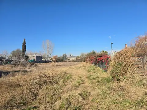 Terreno en Alquiler en Vistalba, USD 2.000