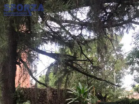 Casa - Centro (S.Mig.)