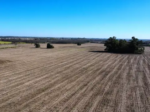 Venta - 103 Hectáreas Sobre Autopista Ezeiza - Cañuelas (km 46.5) - Lote Zona Logística - Ideal Parque Industrial O Logístico