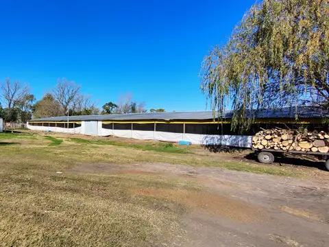 AV SARMIENTO 100