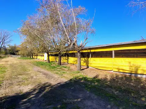 Terreno en Venta de 45000,0 m2
