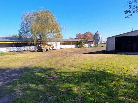 GRANJA DE POLLOS EN PEDERNALES