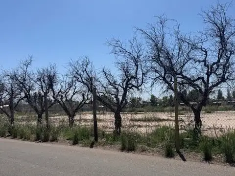 Terreno en Venta 275  mts Frente