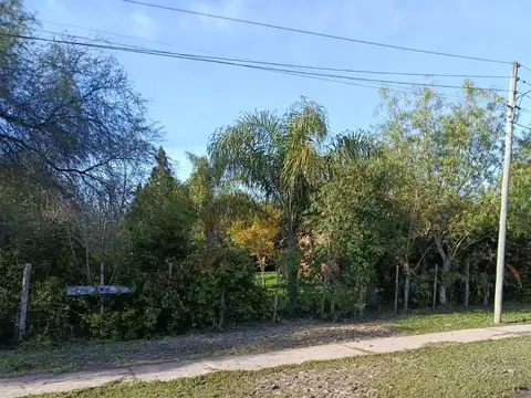 Terreno en Venta en Colonia Benitez, USD 15.000