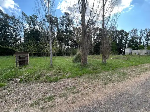 Terreno en Venta 40  mts Frente