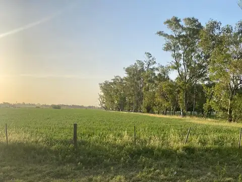 OPORTUNIDAD 5 LOTES CON ALTO RETORNO SOBRE RUTA 1