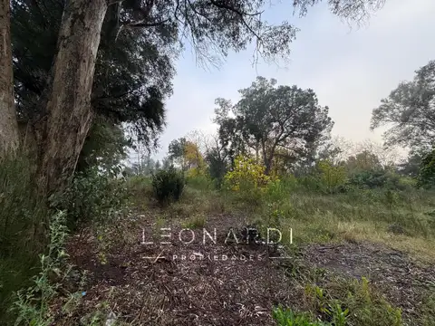 Terreno en Venta 20  mts Frente