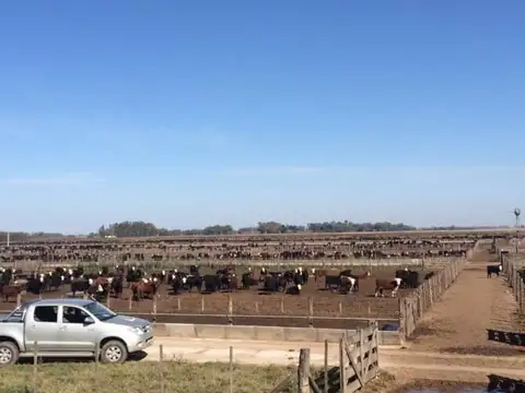 DOLORES 500HAS - 5 KM RUTA 2 - 200