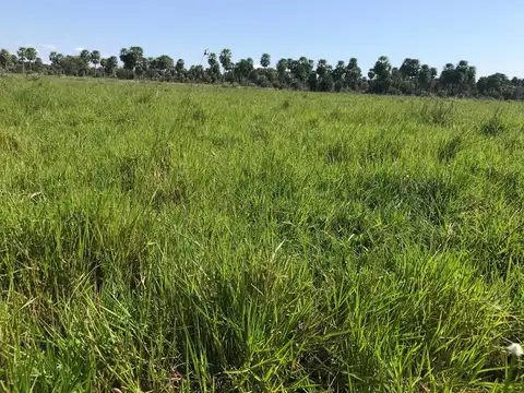 Campo en Venta con Alambrado