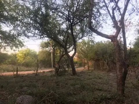 Terreno en Venta de 1200,0 m2