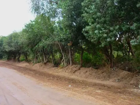 Inmobiliaria ALOJA – Lotes de 800 M2 Zona Centro – San Marcos Sierras