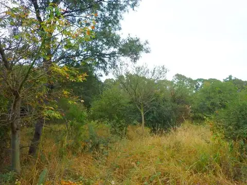 Terreno en Venta 50  mts Fondo