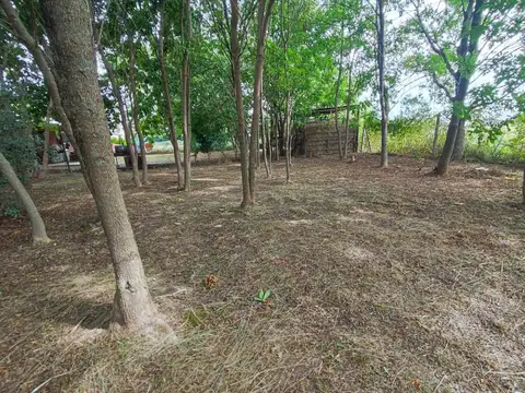 Los Pioneros L. Echeverría