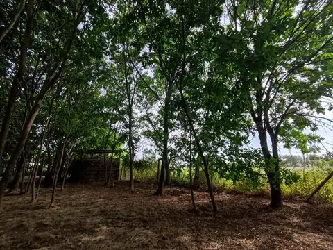 Terreno en Venta de 692,0 m2