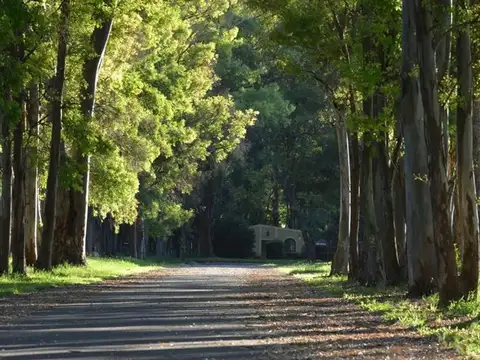 Terreno en Venta de 1473,0 m2