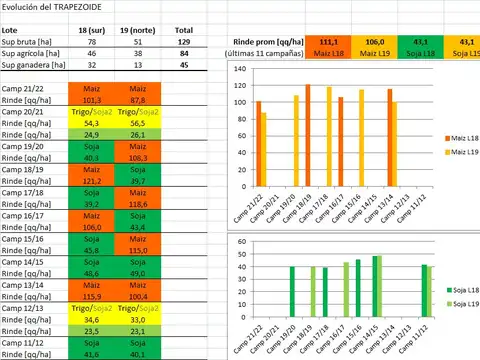 CAMPO MIXTO EN VENTA EN VEDIA 130 HECTAREAS
