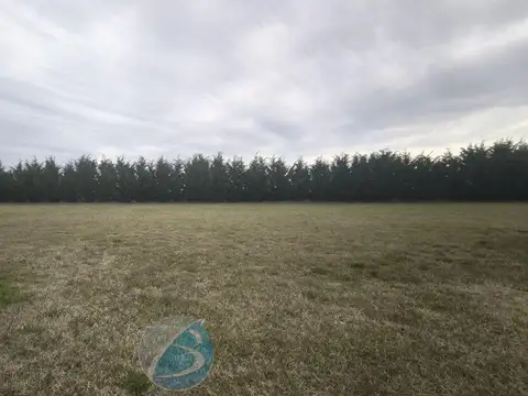 Terreno en Venta de 831,0 m2