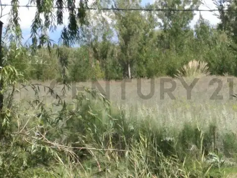 LOTE EN VENTA EN SAN CARLOS