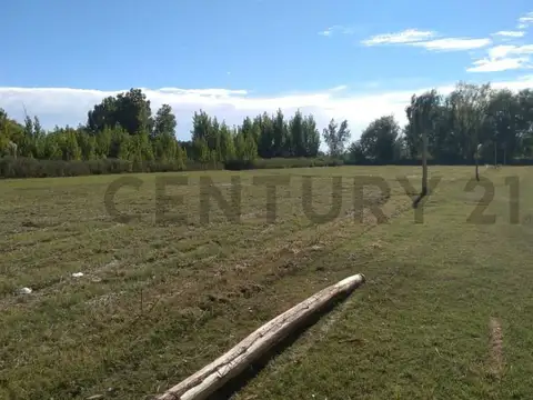 LOTE EN VENTA EN SAN CARLOS