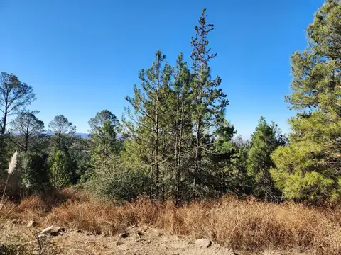 Terreno en Venta de 5539,0 m2