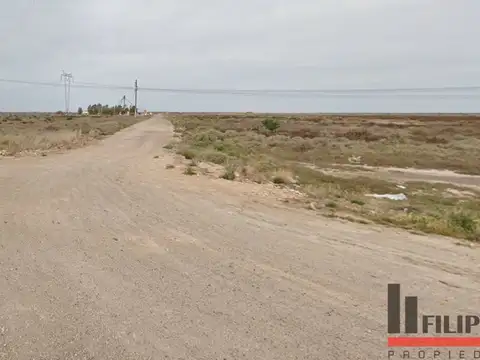 Venta 27has Ruta 3 Sur, Ing. White, Bahía Blanca