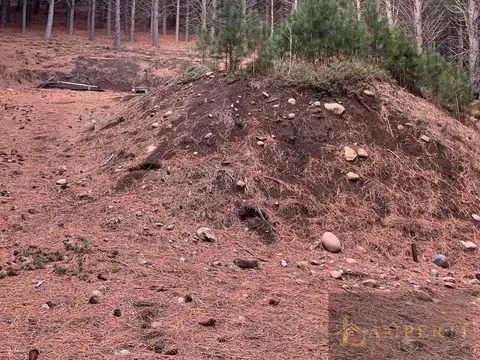 Terreno en Venta de 2279,0 m2