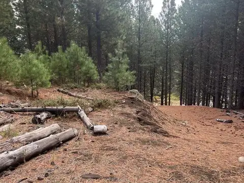 Terreno en Chapelco Golf &amp; Resort