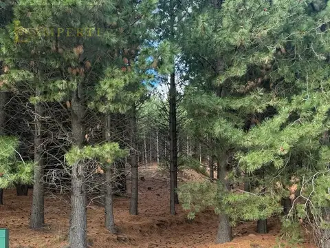 Terreno en Venta de 2279,0 m2