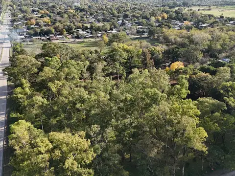 Venta Terreno Longchamps - Lote Barrio "La Arbolada"