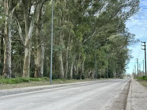 Terreno en Venta 30  mts Fondo