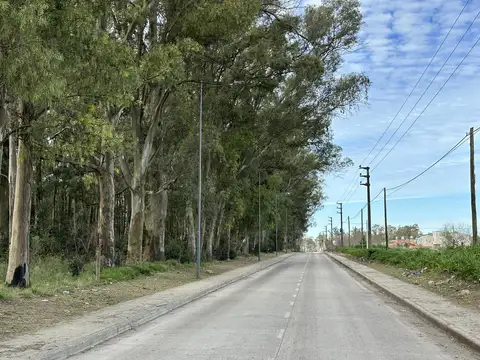 Terreno en Venta 12  mts Frente