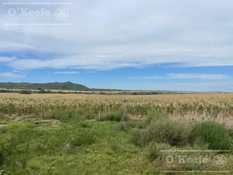Campo en venta de 1100 has, Donovan, en San Luis