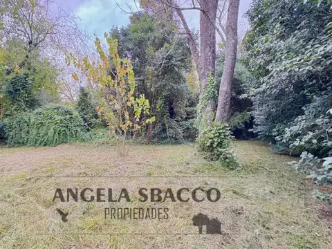 Hermoso Terreno Arbolado en Jularo.