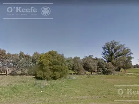 CAMPO de 34 HAS CON GRAN POTENCIAL DE DESARROLLO SOBRE RUTA 41 – GENERAL BELGRANO