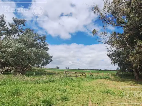 CAMPO de 34 HAS CON GRAN POTENCIAL DE DESARROLLO SOBRE RUTA 41 – GENERAL BELGRANO