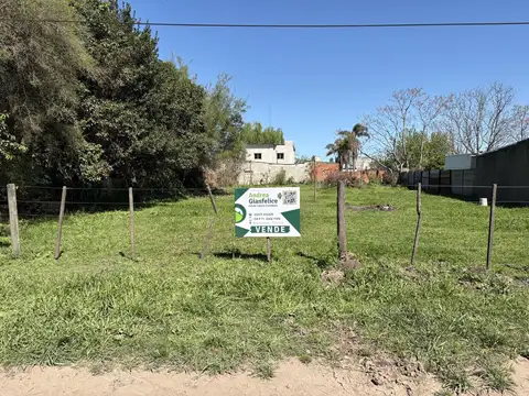 Luzuriaga (227) e/ Cardoner y Angueira