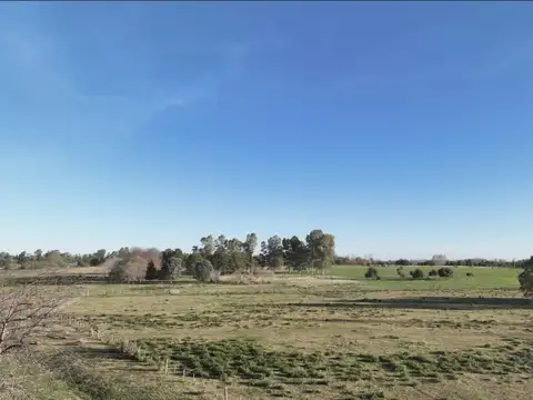 Chacra en Venta - 8 Has. en El Chajá