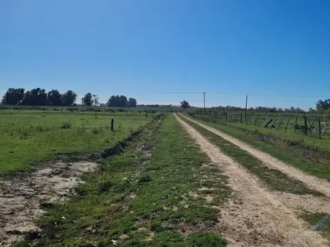 Campo en Venta Granja