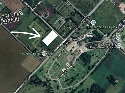 VENTA HECTAREA 10.005M2 DIF USOS ANT. ARGENTINA