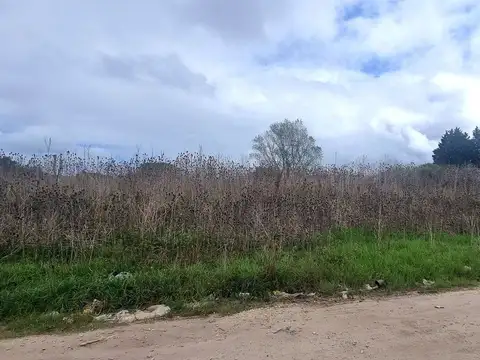 Terreno en Venta de 10005,0 m2