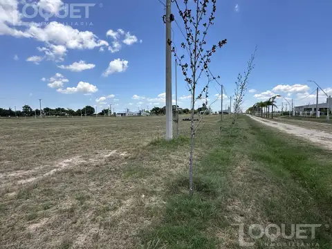 Terreno en Venta 20  mts Frente