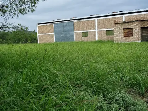 VENTA. CAMPO 876 has MIXTO. SERREZUELA (CÓRDOBA)