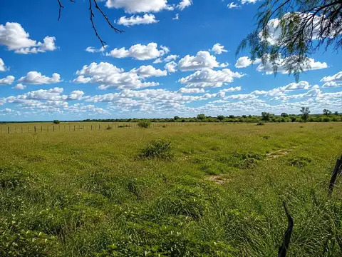 VENTA. CAMPO 876 has MIXTO. SERREZUELA (CÓRDOBA)