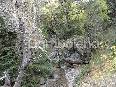 Terreno Campo  en Venta en Cushamen, Chubut, Patagonia