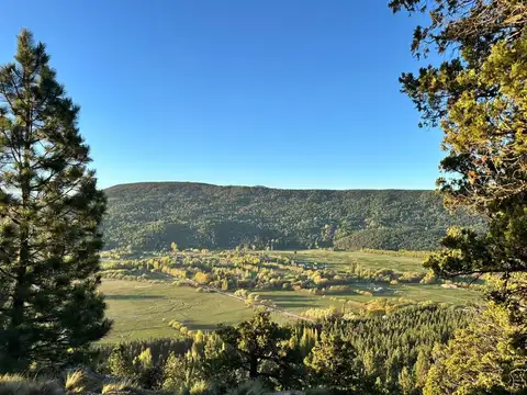 Guillermo Hudson 300